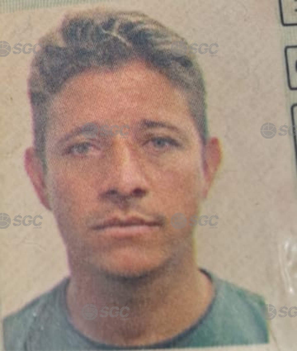 Imagem da Galeria