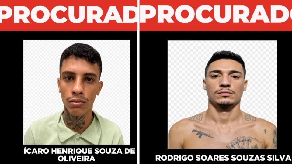 Notícia Relacionada