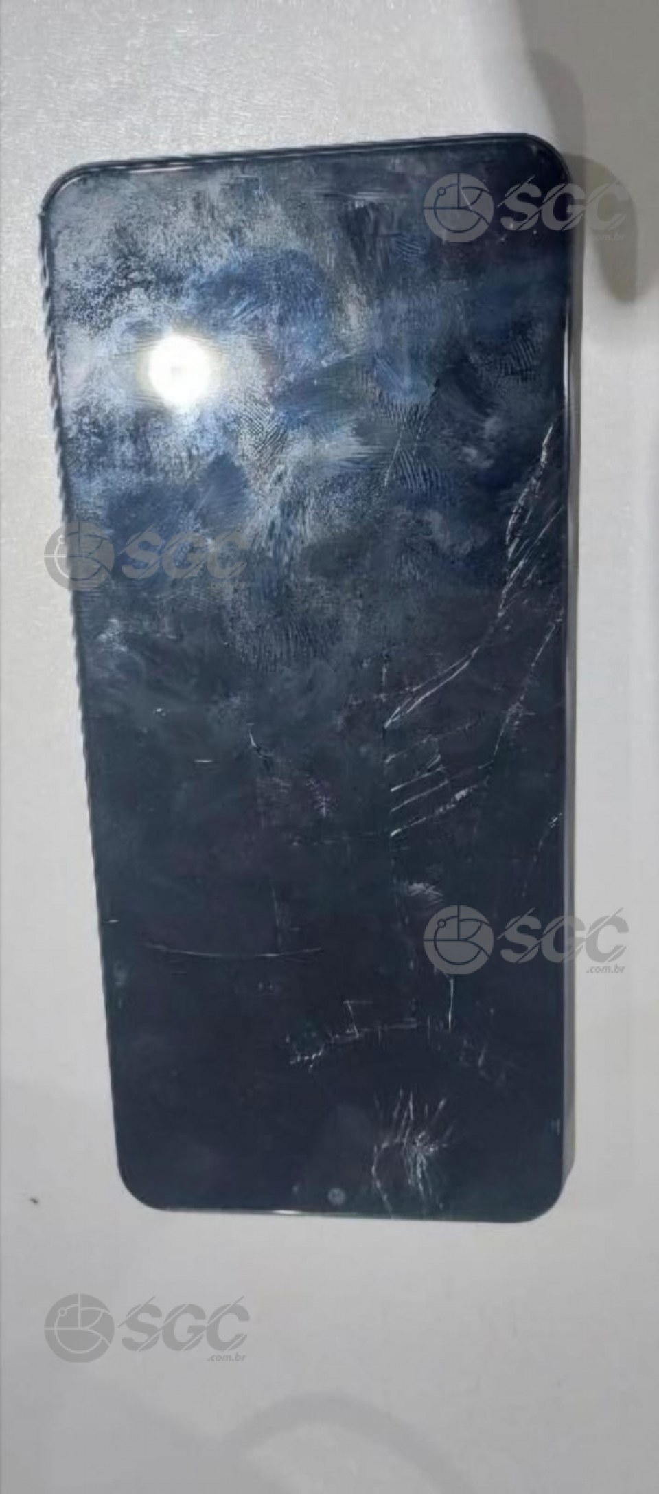Imagem da Galeria