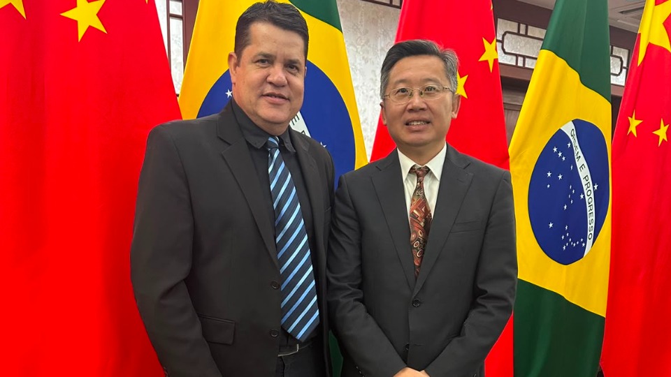 Imagem da Galeria
