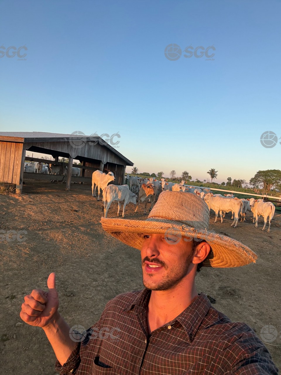 Imagem da Galeria