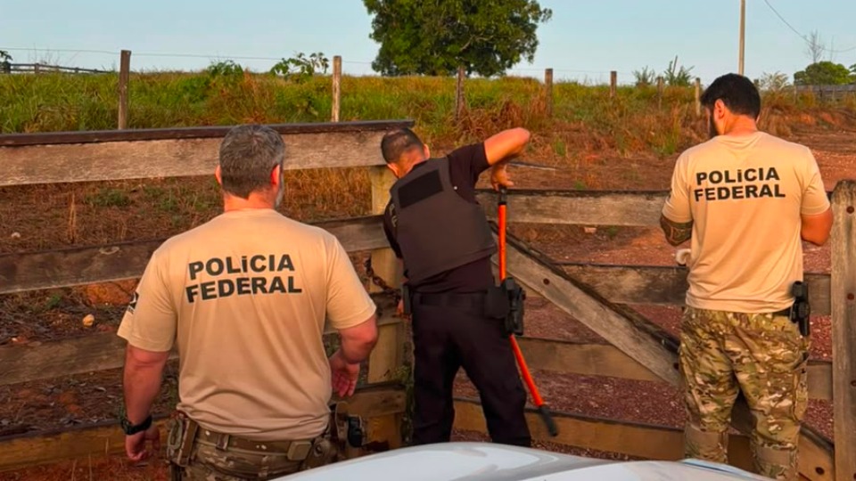 Imagem da Galeria