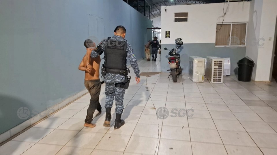 Imagem da Galeria