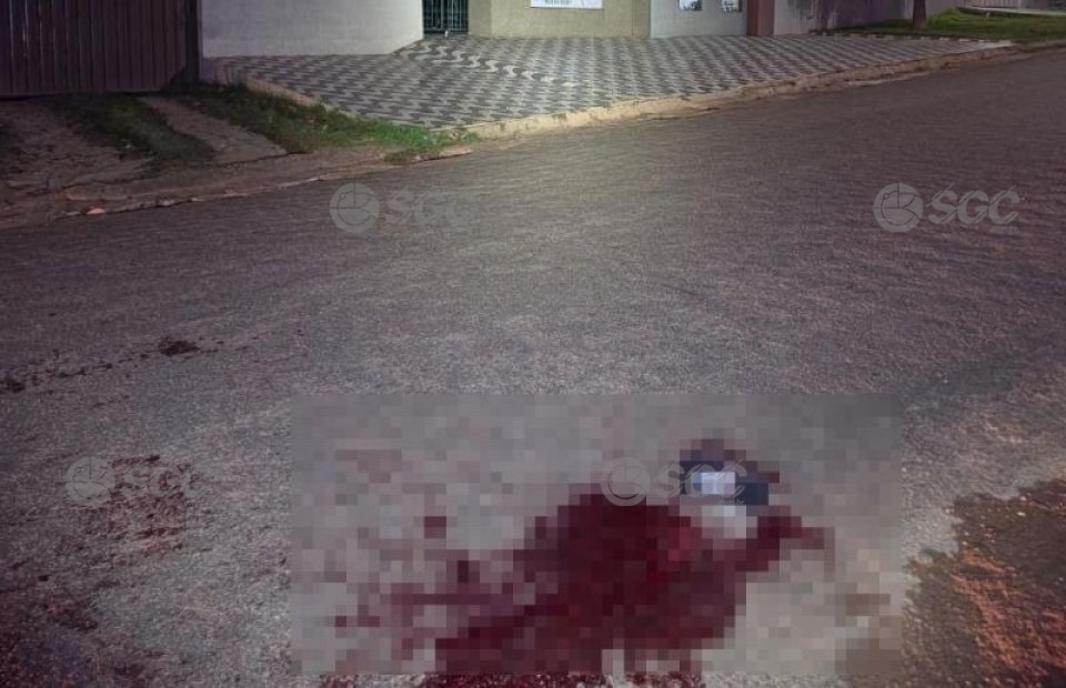 Notícia Relacionada