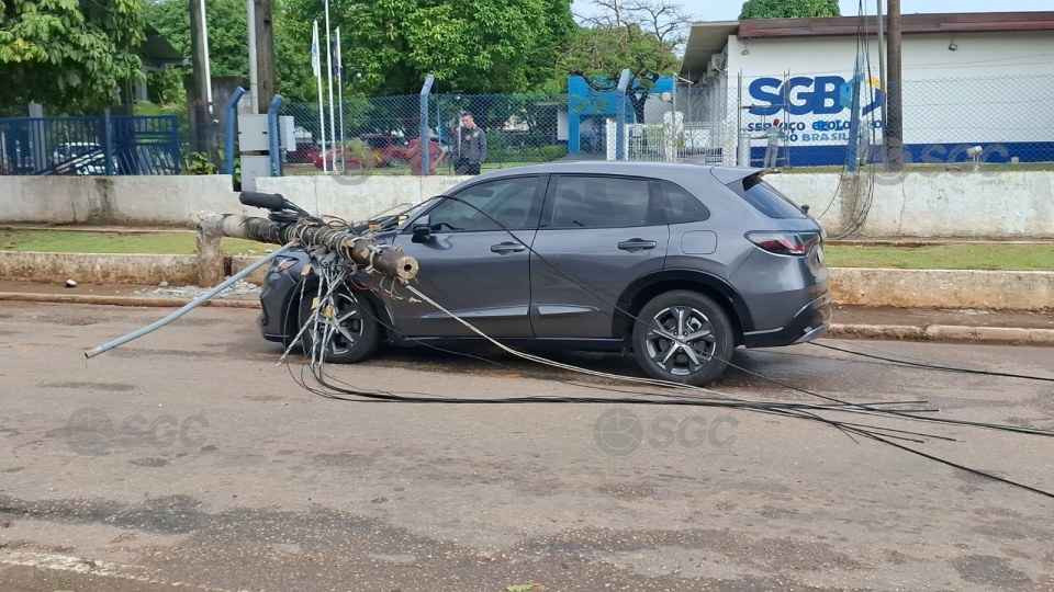Notícia Relacionada