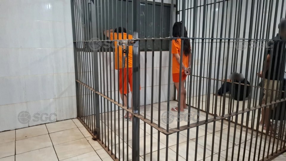 Imagem da Galeria