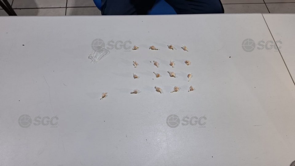 Notícia Relacionada