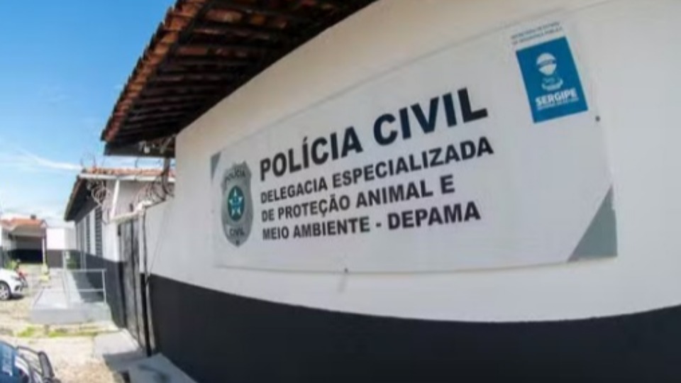 Notícia Relacionada
