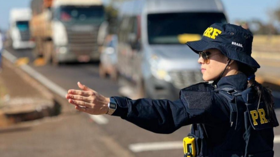 Notícia Relacionada