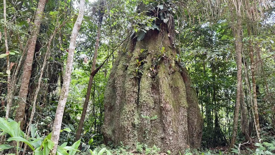Imagem Editoria