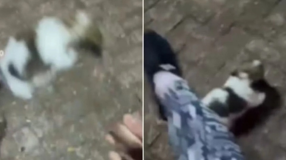 Imagem Últimas Notícias
