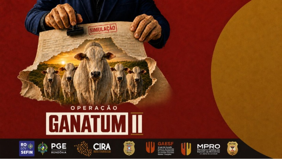 Imagem da Galeria