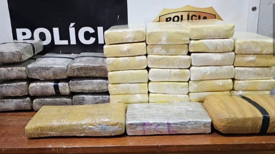 Notícia Relacionada