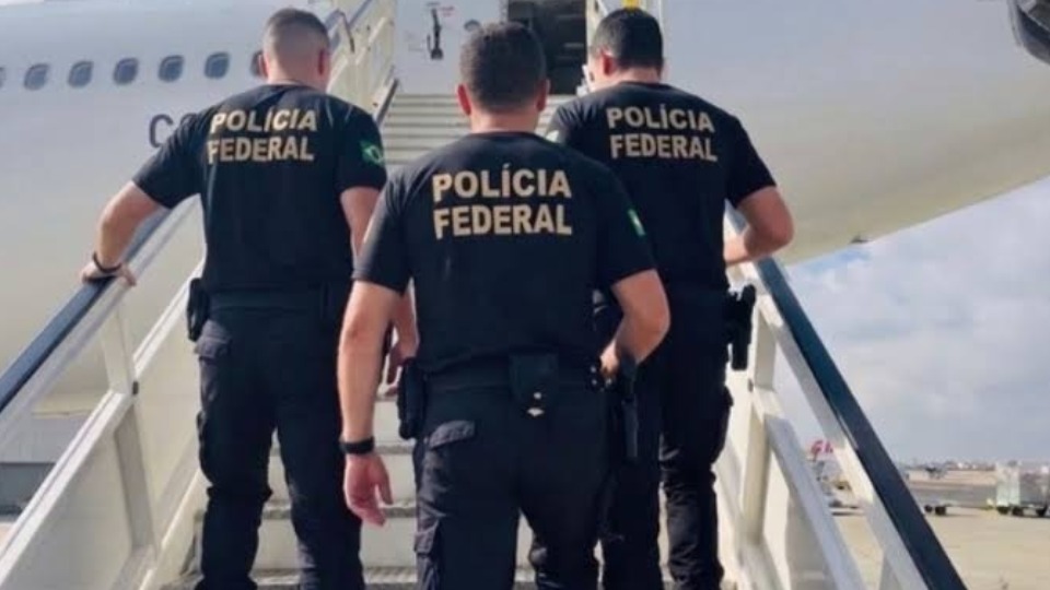 Notícia Relacionada