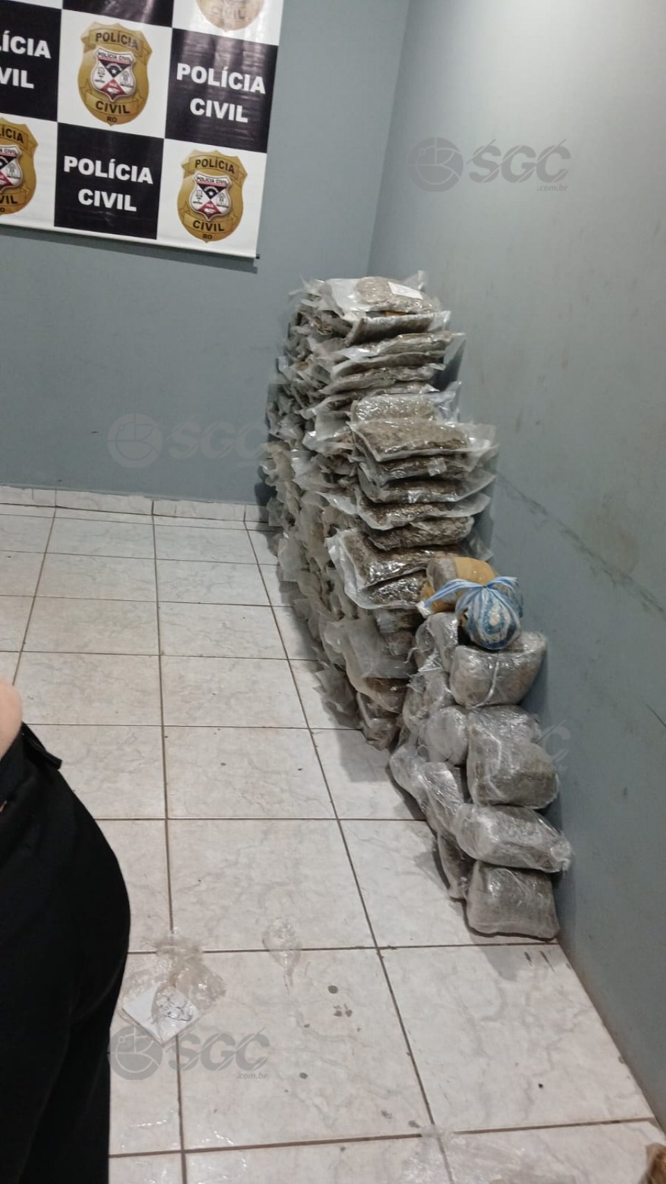Imagem da Galeria