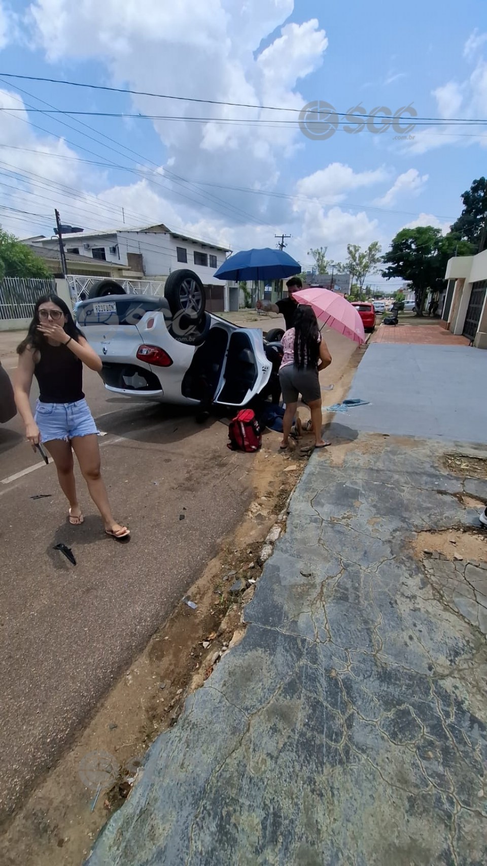 Imagem da Galeria