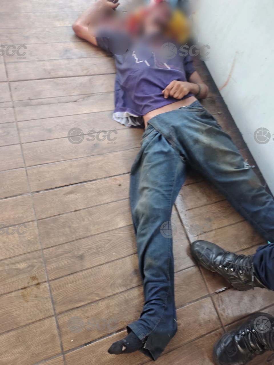 Imagem da Galeria