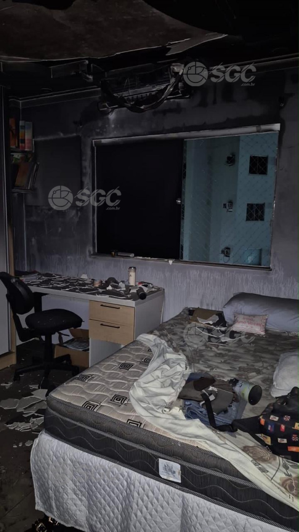 Imagem da Galeria