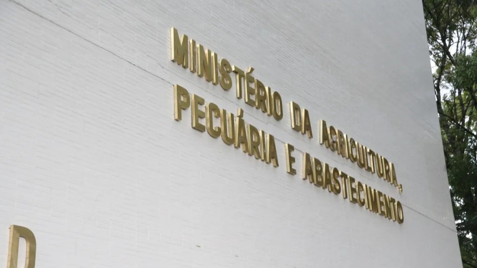 Imagem Editoria